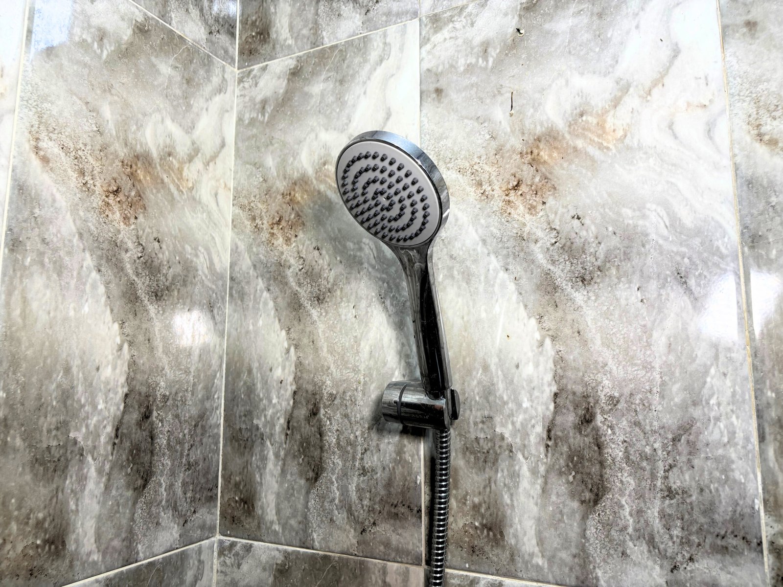 ed62d41c-5e91-4f3a-827f-3ccd19688c42